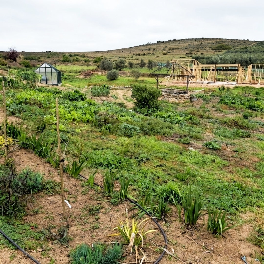1 Bedroom Property for Sale in Darling Western Cape
